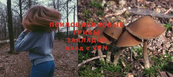 Альфа ПВП Майский