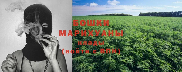 гашик Магас