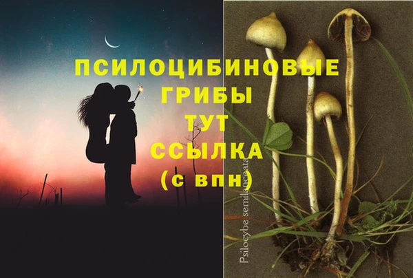 МДМА Медвежьегорск