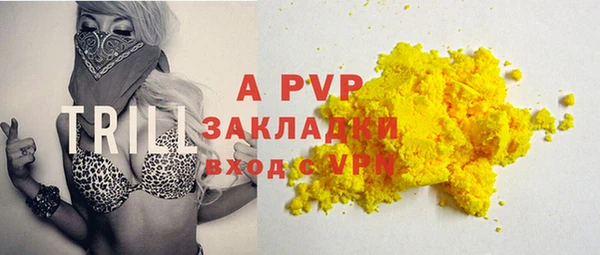 гашик Магас